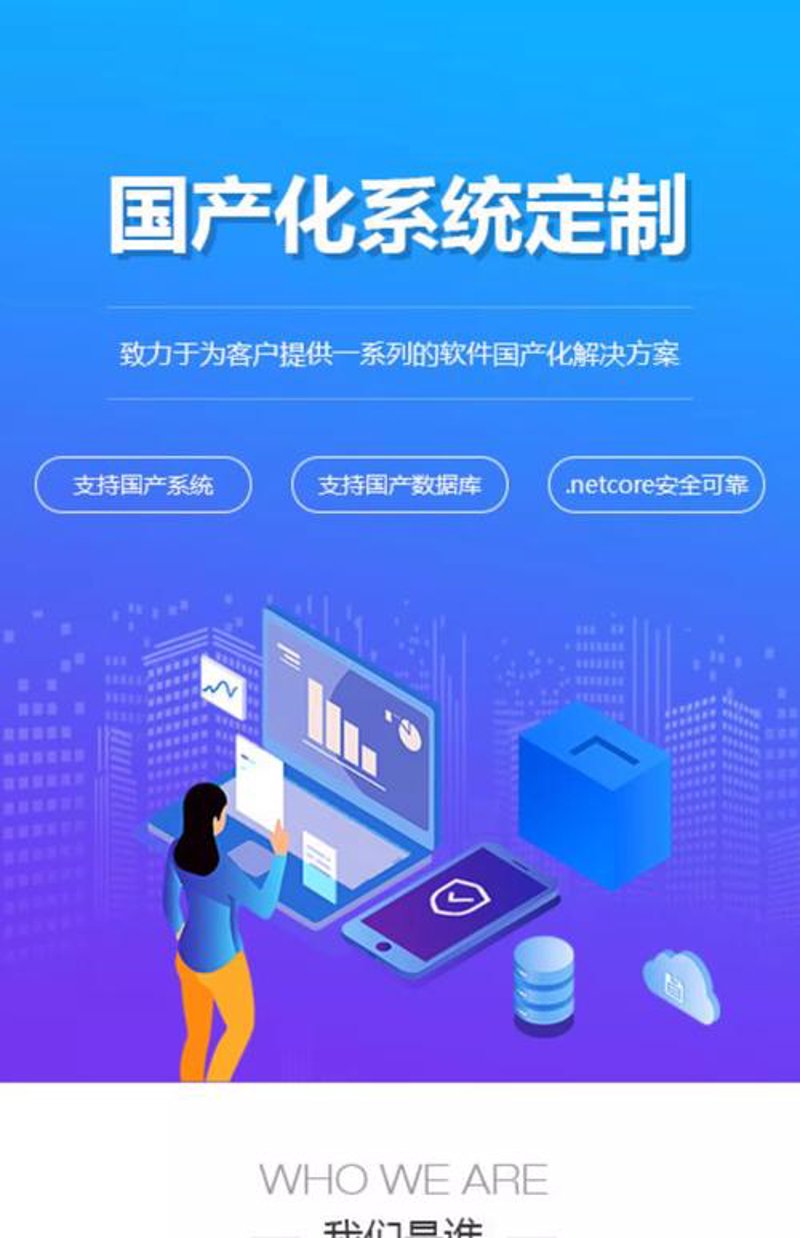 银行软件定制